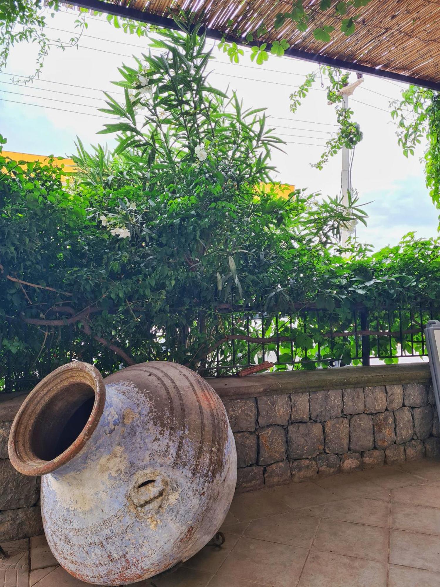 Fora Apart Otel Cesme Exterior photo
